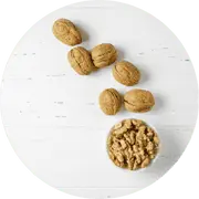 Nitric oxide circulation support